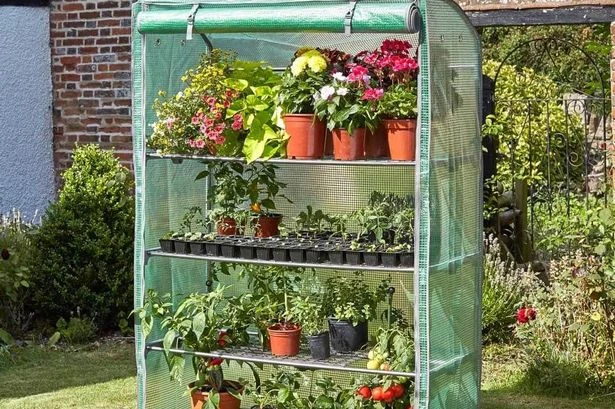 Daily Star's top tech from mini projectors to microphones and garden greenhouses