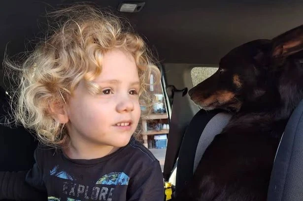 Gus Lamont: Grandmother breaks silence on missing boy's Australian outback disappearance