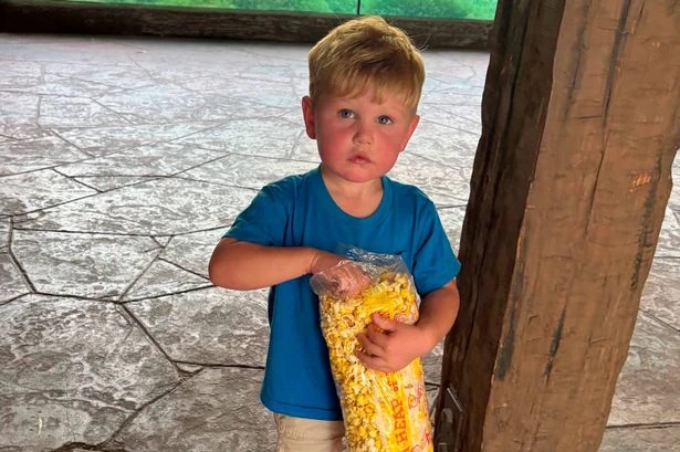 Two-year-old's organs shut down after stung 150 times by wasps 'swarming head to toe'