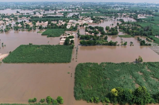 Pakistan evacuates 25,000 people from city as rivers threaten flooding