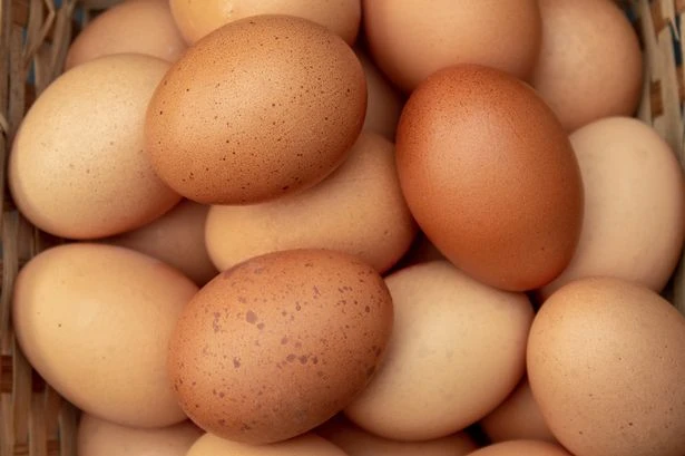 Health warning issued over mayonnaise and six other foods that shouldn't be frozen