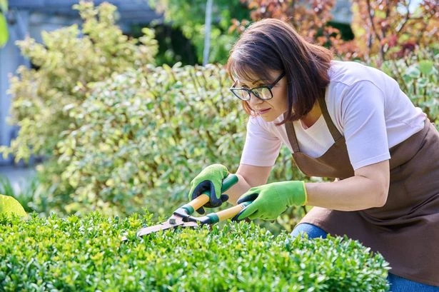 Brits who do one thing to their gardens in August could be sent to prison