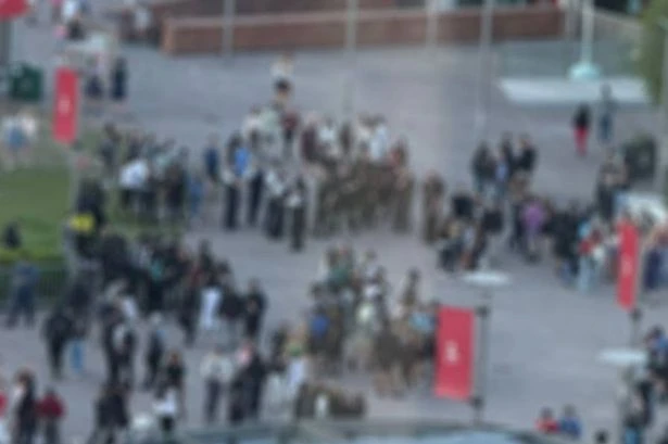 Massive gangs hanging around city centre make people not want to shop there