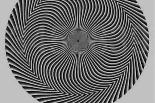 Furious debate over optical illusion as people can't agree on numbers inside
