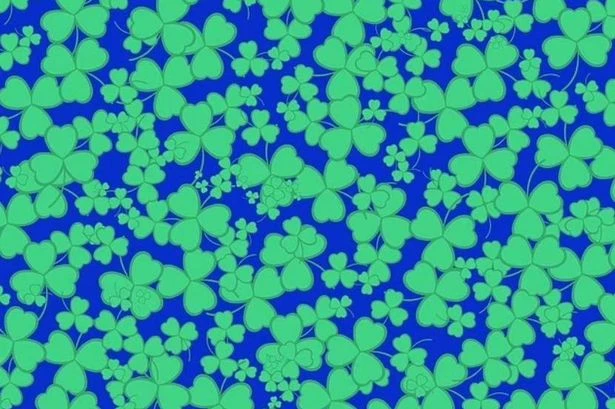 Most Brits can't spot four-leaf clover in 15 seconds - are you in the genius 10%?