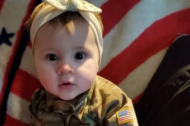 Toddler mauled to death by family's pet pit bull in 'horrible' dog attack at home