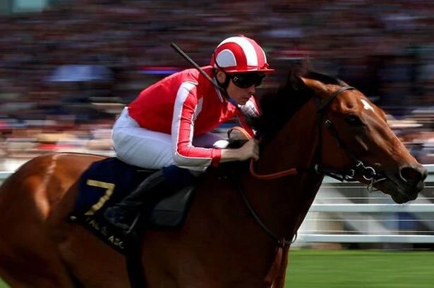 Horse racing fans up in arms as top jockey is slapped with harsh 18-day ban