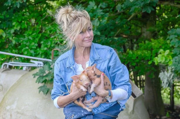 Jeremy Clarkson's girlfriend Lisa Hogan sacked from job after 'naughty' act