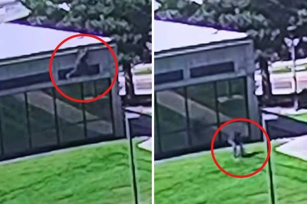 Charlie Kirk killer manhunt as new FBI video shows exact moment sniper fled after fatal shot