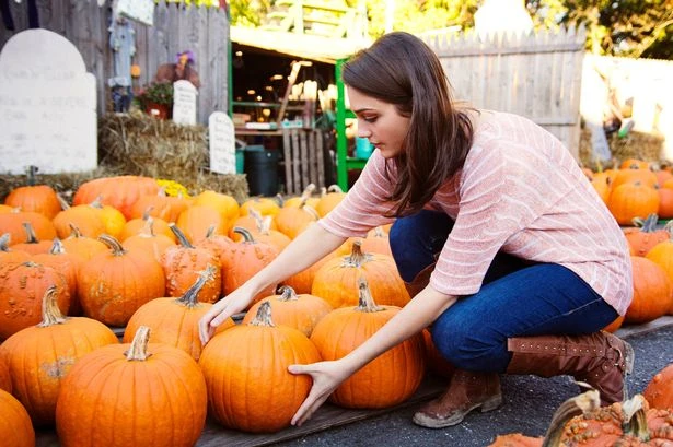 Cheapest supermarket for pumpkins named — and it's not Tesco or Lidl