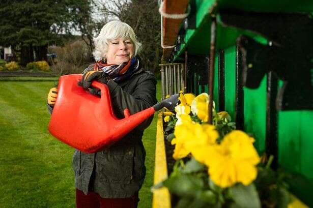 Gardening mistakes you're making that are killing your plants - and how to avoid