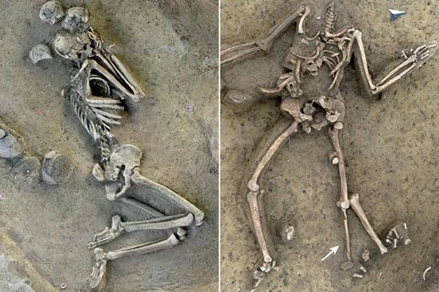 Inside 7,000-year-old 'horror pit' of decapitated skeletons that has left experts baffled