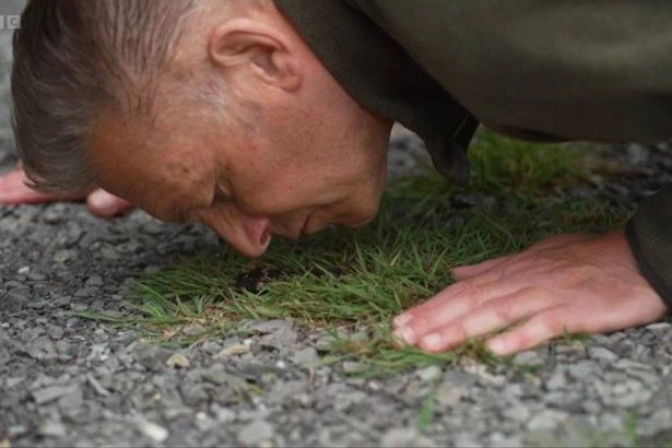 BBC viewers slam host Chris Packham after 'disgusting' on-air act