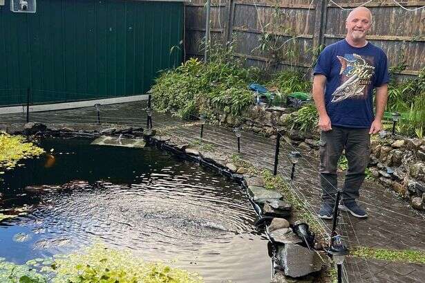 Locals fuming as town taken over by angry otters who 'killed our goldfish'