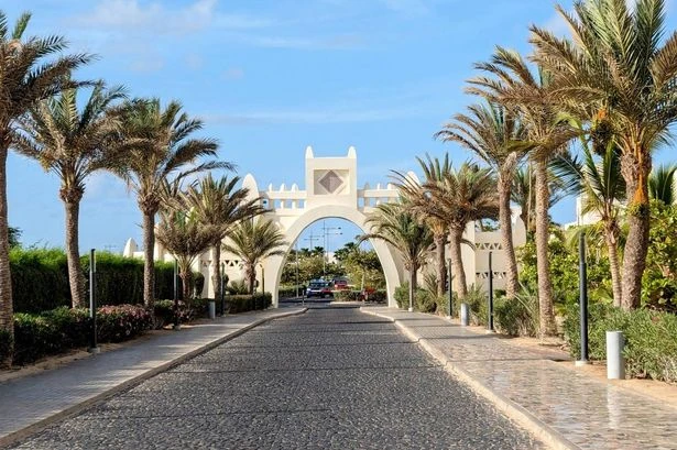 Brit holidaymakers sue nightmare resort with 'raw food and wild animals around buffet'