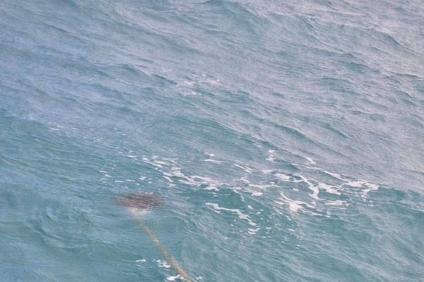 Kitesurfer spots stick in ocean only to realise something is alive on the end