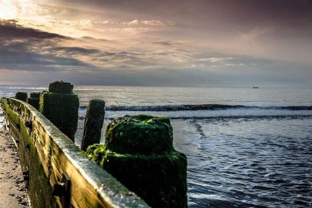 Woman dies and man critical after couple try to rescue pet dog from sea