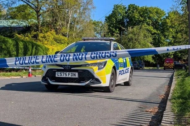 Horror as body found in 'fly-covered suitcase' during teddy bear hunt in UK woods