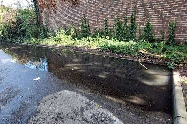 'Our car park smells like a bog - raw sewer reek is coming in through our windows'