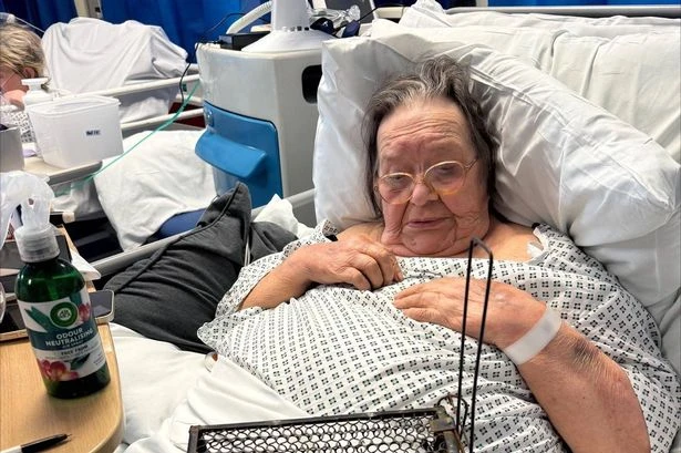 Gran sleeping with rat trap on bed after finding 'rodent droppings' in hospital