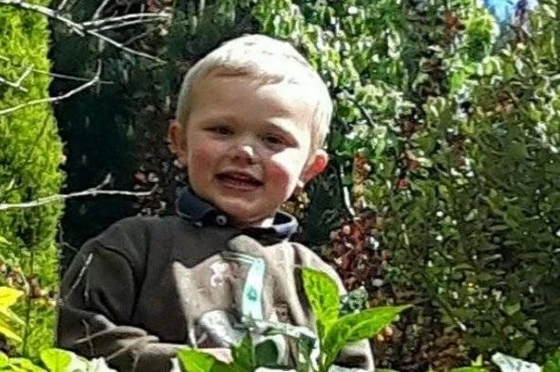Mum told 999 son, 3, had been 'ripped to pieces' after dog attack at farm