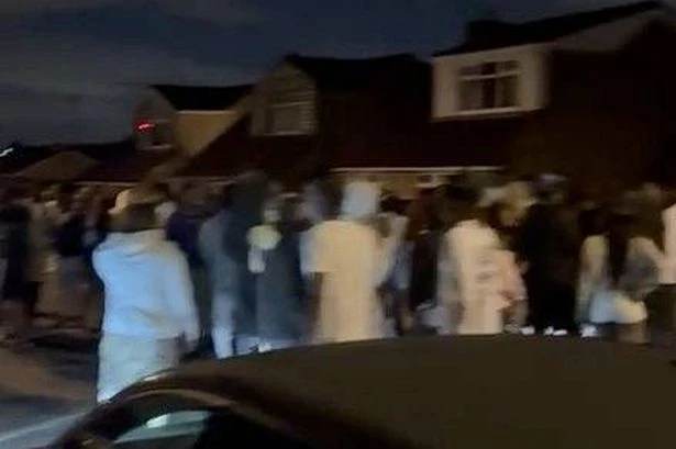 Airbnb 'trashed' after gender reveal turns into 'Project X' style party with 200 revellers