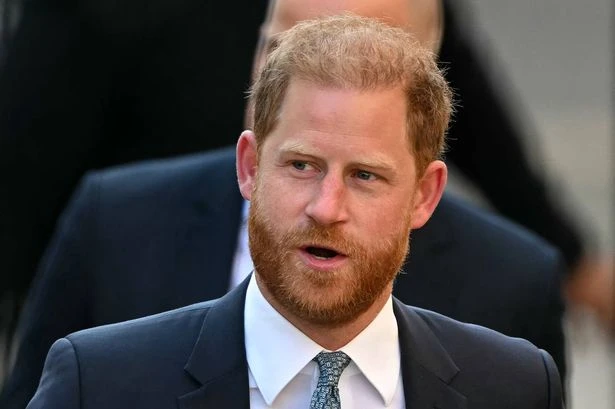 Prince Harry's stalker 'body blocked' by guards as she makes a beeline for him twice