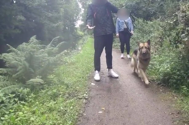 Dog walker who 'pushed cyclist into canal' speaks out about reason he did it