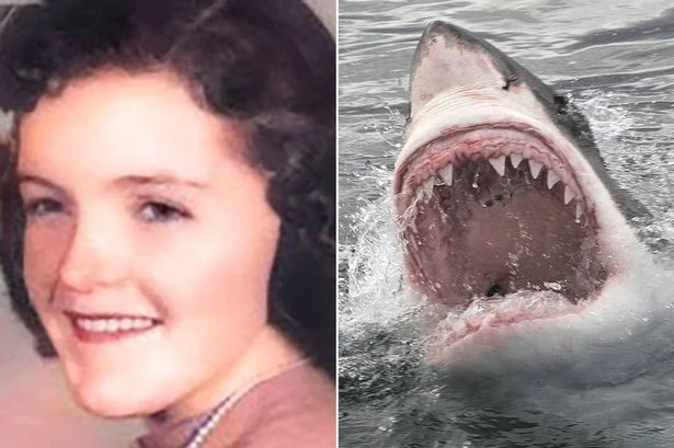 'Screaming' mum ripped in half by 20ft shark that came back to eat floating torso