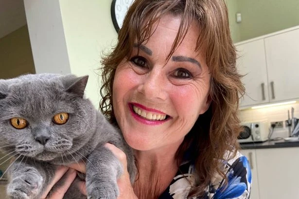 'I let my cat have a psychic reading – and his demands were eye-opening'