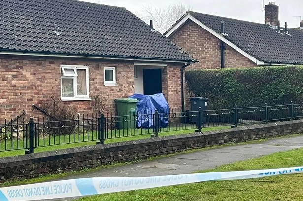 Man accused of killing his dad after he 'performed sex act on dog', court told