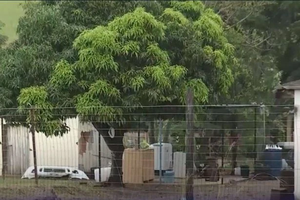 Family of seven found dead after rape and kidnapping horror as 3 arrested
