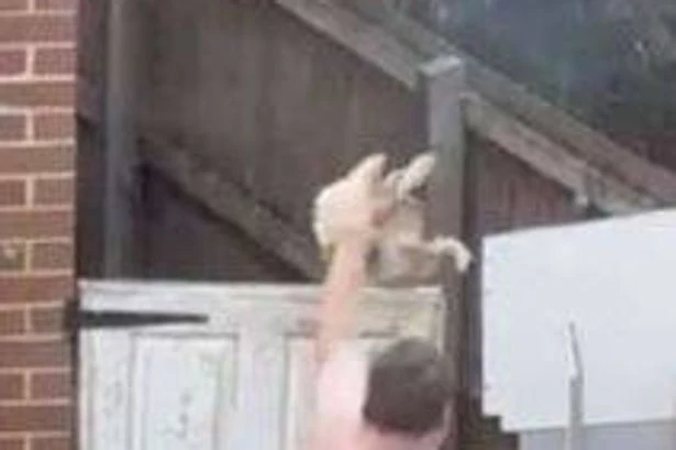 Man throws 2kg malnourished dog over 6ft garden gate in horror caught on video