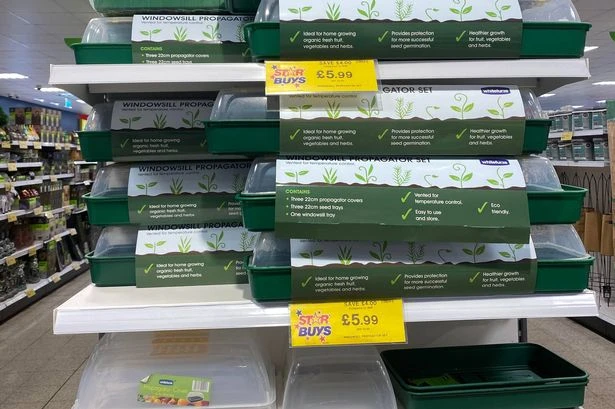 Home Bargains is selling £5.99 gardening tool that is perfect for sunny windowsills