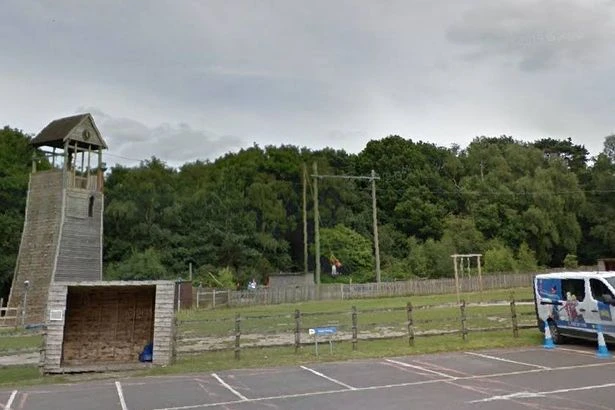 Multiple children injured as tree falls at UK activity centre in 'serious accident'