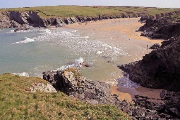Kids 'chase sheep off UK cliff' and 'threaten to throw passer-by over as well'