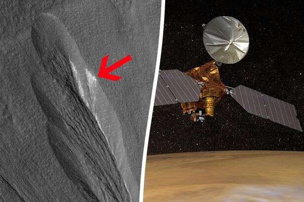 NASA claims it knows where to find life on Mars – it's not where you'd expect