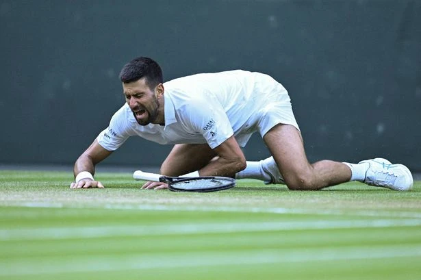 Novak Djokovic gives injury update after brutal Wimbledon faceplant leaves him in agony