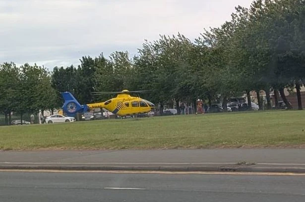 Little girl mauled by dog in street as neighbours throw bricks at beast during attack