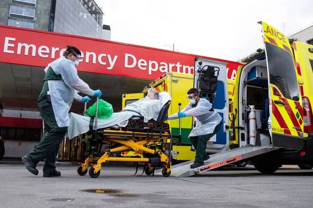 'I predicted the deadly Covid-19 pandemic – the next one is already here'