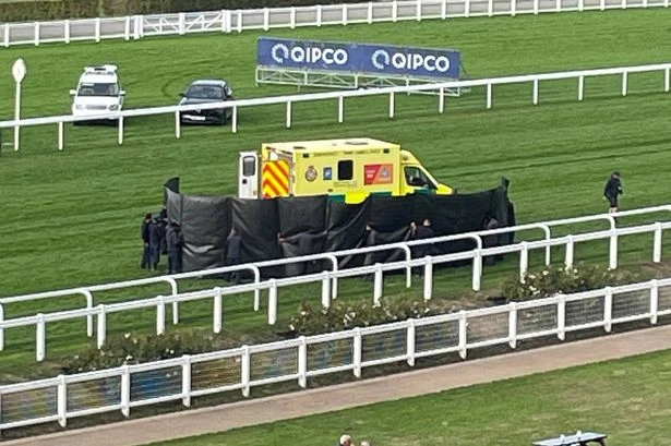 Horse dies and jockey taken to hospital after horrific Ascot fall as screens go up