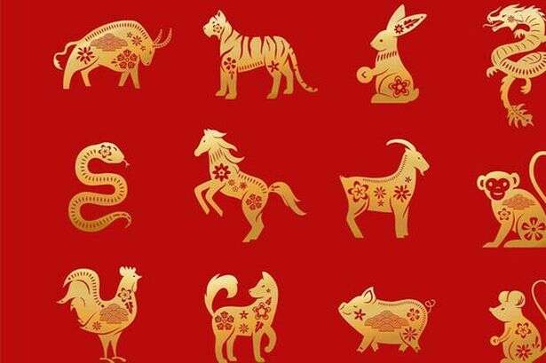 October Chinese horoscope as five luckiest zodiac signs to see major life changes