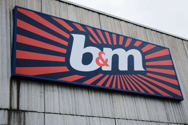 B&M shoppers rave over £15 solar rattan lights dubbed 'perfect for summer evenings'