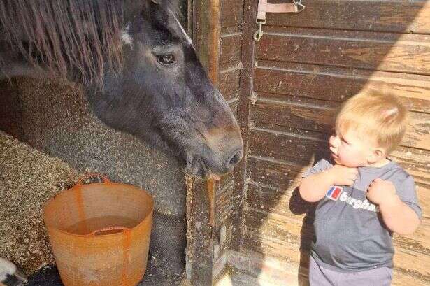 Mum's heartbreaking tribute to boy, 2, killed in freak fireplace accident