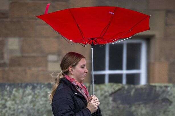 Traditional British weather phrases dying out among young adults, survey finds