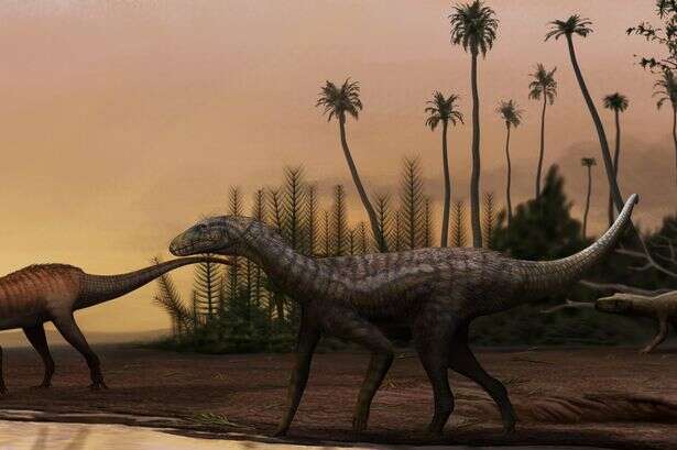 'Agile' predecessor to dinosaurs dating back 237 million years discovered in Brazil