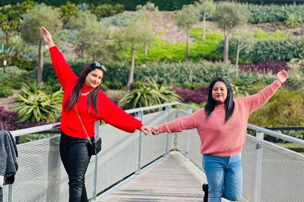 Nurses killed on way to party after stopping to help injured kangaroo