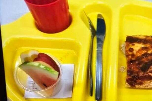 Angry mum says she 'wouldn't feed dog that' after daughter sends her school dinner pic