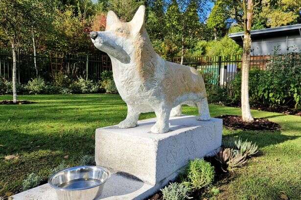 Council slammed for spending £35K on 'pointless' corgi statue in tribute to late Queen