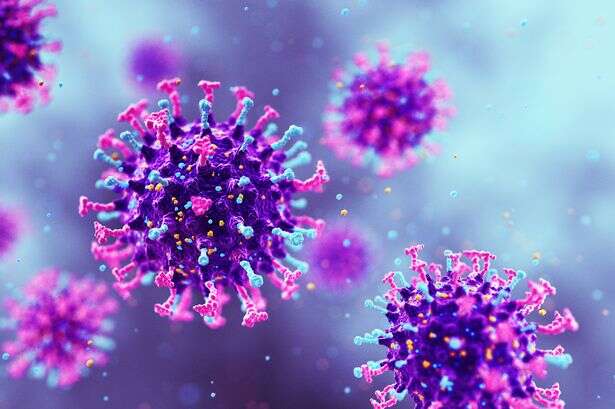 Virus spreads in UK - WHO issues warning as young 'most vulnerable